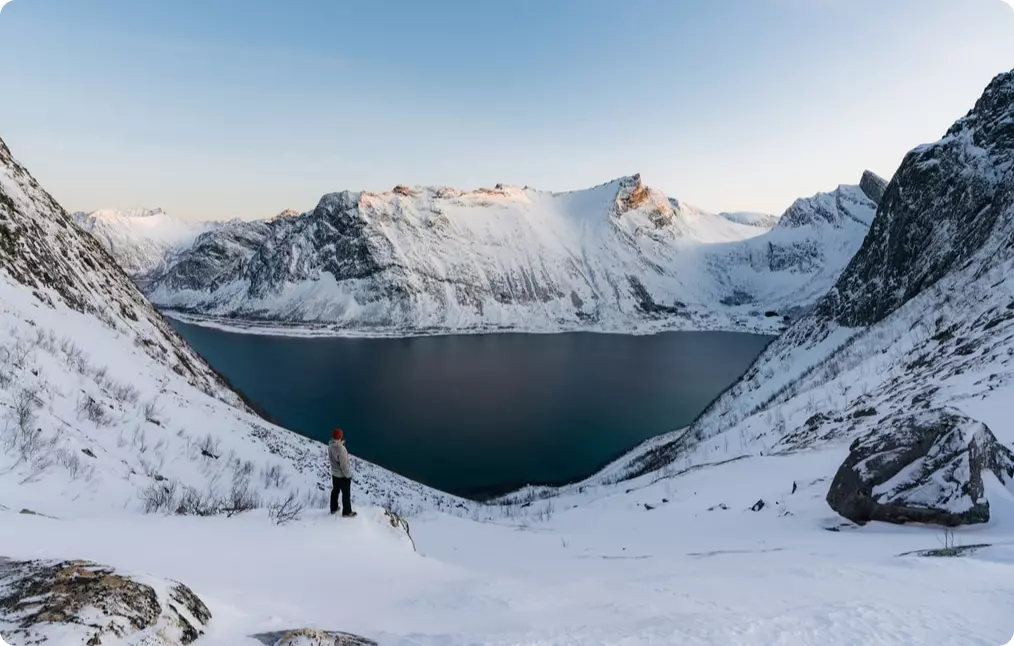 Narvik